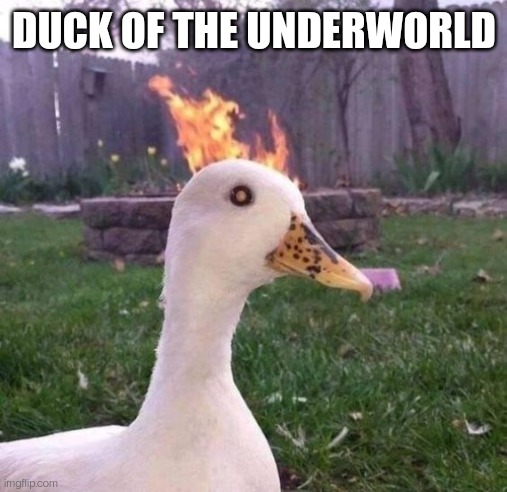 DUCK OF THE UNDERWORLD | made w/ Imgflip meme maker