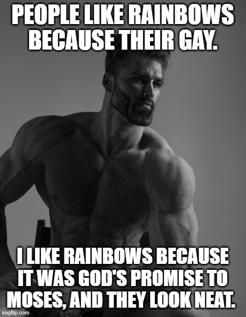 Giga Chad | PEOPLE LIKE RAINBOWS BECAUSE THEIR GAY. I LIKE RAINBOWS BECAUSE IT WAS GOD'S PROMISE TO MOSES, AND THEY LOOK NEAT. | image tagged in giga chad | made w/ Imgflip meme maker