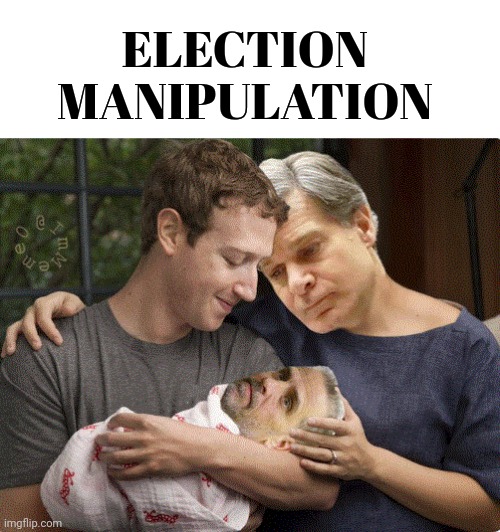 Election Manipulation |  ELECTION MANIPULATION | image tagged in fbi,facebook,msm,social media,election fraud,manipulation | made w/ Imgflip meme maker