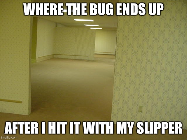 They just vanish | WHERE THE BUG ENDS UP; AFTER I HIT IT WITH MY SLIPPER | image tagged in the backrooms | made w/ Imgflip meme maker