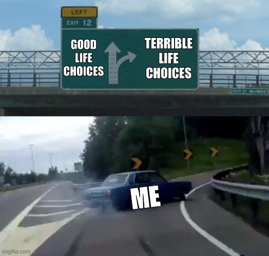 life choices | GOOD LIFE CHOICES; TERRIBLE LIFE CHOICES; ME | image tagged in memes,left exit 12 off ramp | made w/ Imgflip meme maker