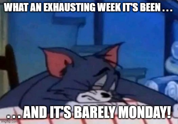 Tired Tom Monday |  WHAT AN EXHAUSTING WEEK IT'S BEEN . . . . . . AND IT'S BARELY MONDAY! | image tagged in tired tom,cat,i hate mondays | made w/ Imgflip meme maker