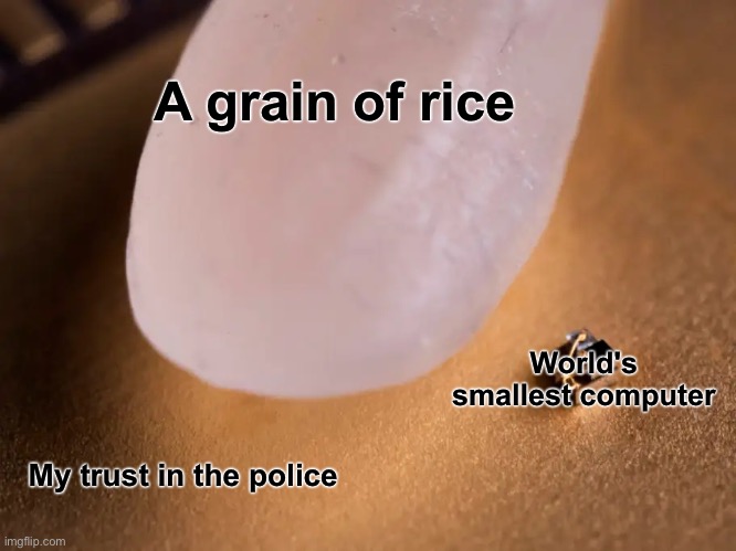 worlds smallest computer | A grain of rice; World's smallest computer; My trust in the police | image tagged in worlds smallest computer | made w/ Imgflip meme maker