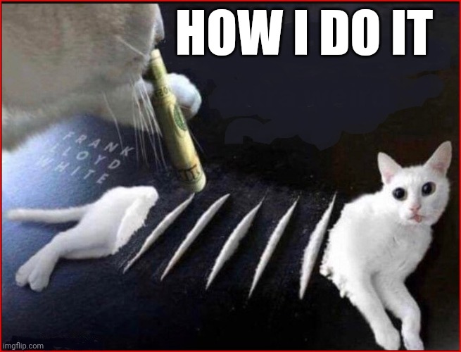 CatCaine | HOW I DO IT | image tagged in catcaine | made w/ Imgflip meme maker