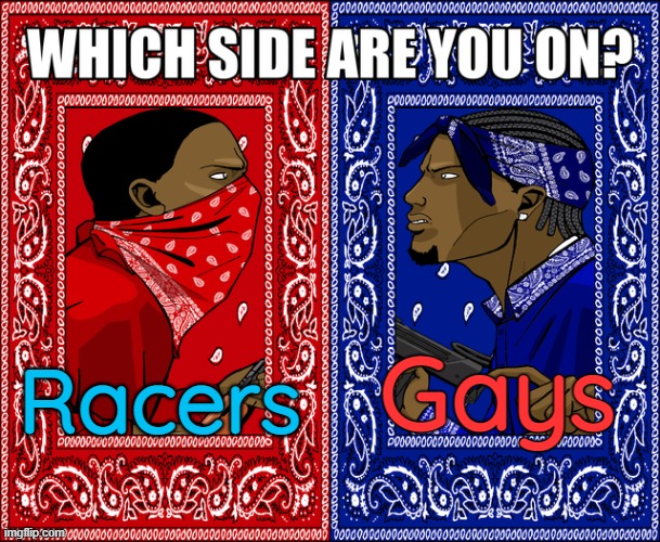 WHICH SIDE ARE YOU ON? | Gays Racers | image tagged in which side are you on | made w/ Imgflip meme maker
