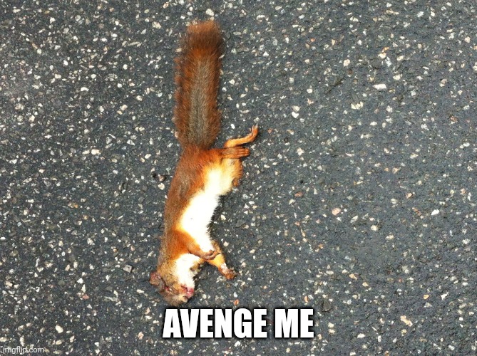 Roadkill | AVENGE ME | image tagged in roadkill | made w/ Imgflip meme maker