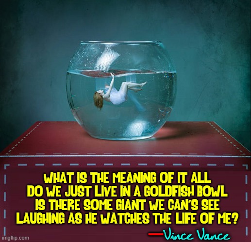 Seeking Meaning as I look into my Aquarium | WHAT IS THE MEANING OF IT ALL;
DO WE JUST LIVE IN A GOLDFISH BOWL;
IS THERE SOME GIANT WE CAN'S SEE
LAUGHING AS HE WATCHES THE "LIFE OF ME?"; Vince Vance; — | image tagged in vince vance,memes,life,the meaning of life,god,goldfish bowl | made w/ Imgflip meme maker