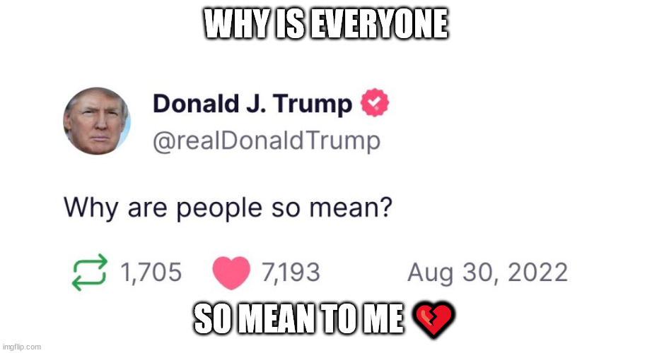 WHY IS EVERYONE; SO MEAN TO ME 💔 | made w/ Imgflip meme maker
