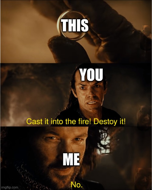 cast it into the fire | THIS YOU ME | image tagged in cast it into the fire | made w/ Imgflip meme maker