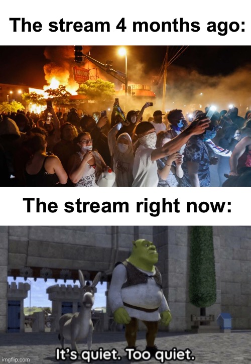 all hell is about to break loose, it already has | The stream 4 months ago:; The stream right now: | image tagged in riotersnodistancing,it s quiet too quiet shrek,memes,unfunny | made w/ Imgflip meme maker
