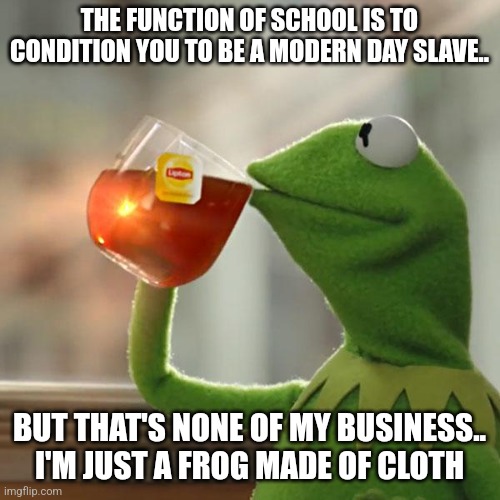 Kermit's views on the education system | THE FUNCTION OF SCHOOL IS TO CONDITION YOU TO BE A MODERN DAY SLAVE.. BUT THAT'S NONE OF MY BUSINESS.. I'M JUST A FROG MADE OF CLOTH | image tagged in memes,but that's none of my business,kermit the frog,school | made w/ Imgflip meme maker