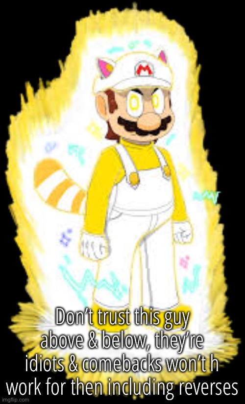 sGolden-Raccoon’s OC | Don’t trust this guy above & below, they’re idiots & comebacks won’t h work for then including reverses | image tagged in raccoon-plumber s oc | made w/ Imgflip meme maker