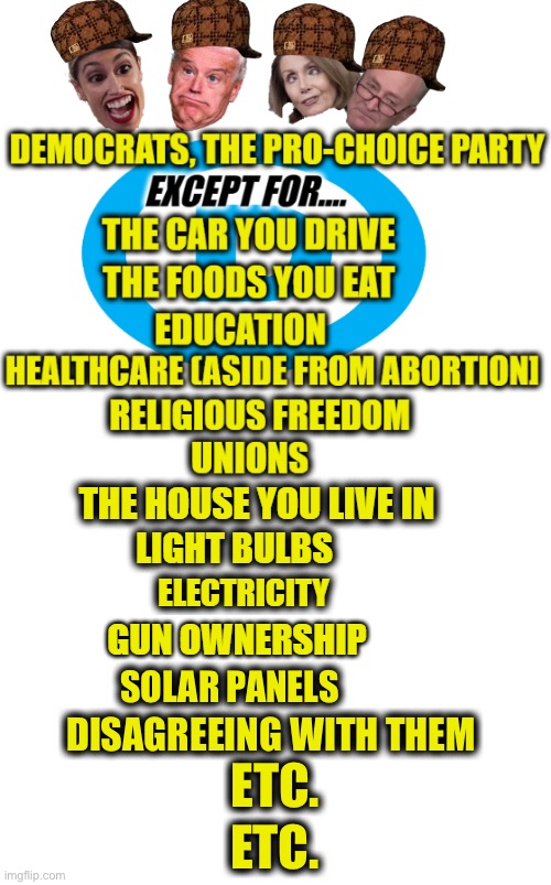 The only choice Democrats believe in is killing babies | SOLAR PANELS; DISAGREEING WITH THEM; ETC. ETC. | image tagged in liberal logic,liberal hypocrisy,pro choice,abortion,memes,democrats | made w/ Imgflip meme maker