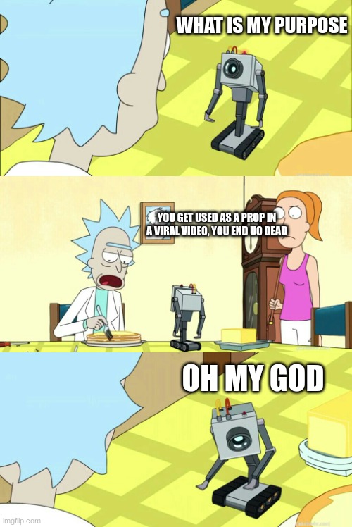 what is my purpose | WHAT IS MY PURPOSE YOU GET USED AS A PROP IN A VIRAL VIDEO, YOU END UO DEAD OH MY GOD | image tagged in what is my purpose | made w/ Imgflip meme maker