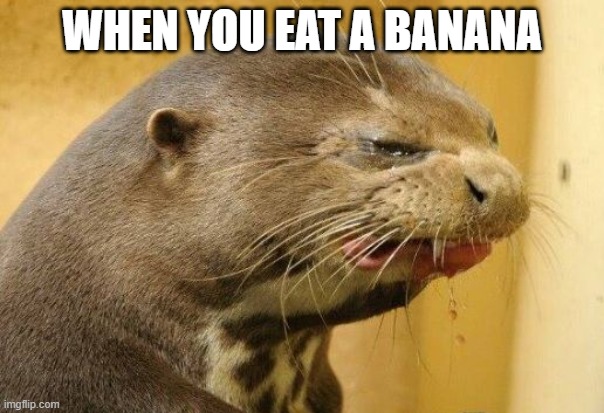 Banana's taste awful | WHEN YOU EAT A BANANA | image tagged in ewww,banana | made w/ Imgflip meme maker