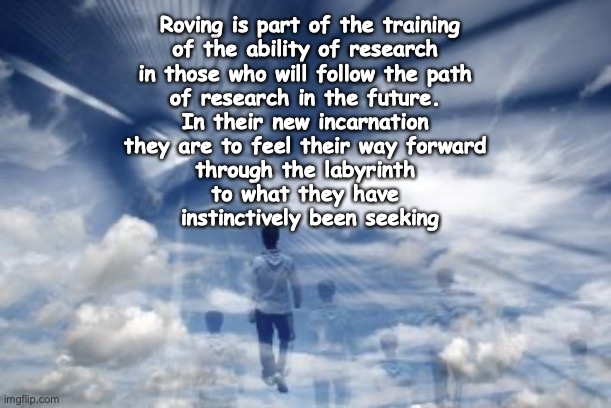 New ways of learning | Roving is part of the training
 of the ability of research 
 in those who will follow the path 
 of research in the future. 
 In their new incarnation 
 they are to feel their way forward 
 through the labyrinth 
 to what they have 
 instinctively been seeking | image tagged in roving | made w/ Imgflip meme maker
