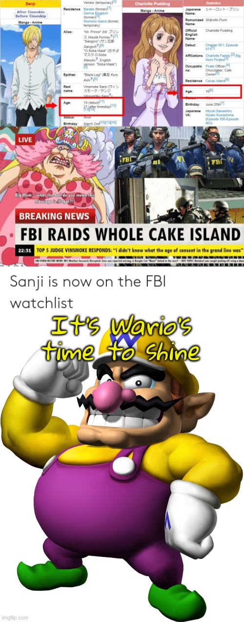It's Wario's time to shine | image tagged in wario | made w/ Imgflip meme maker