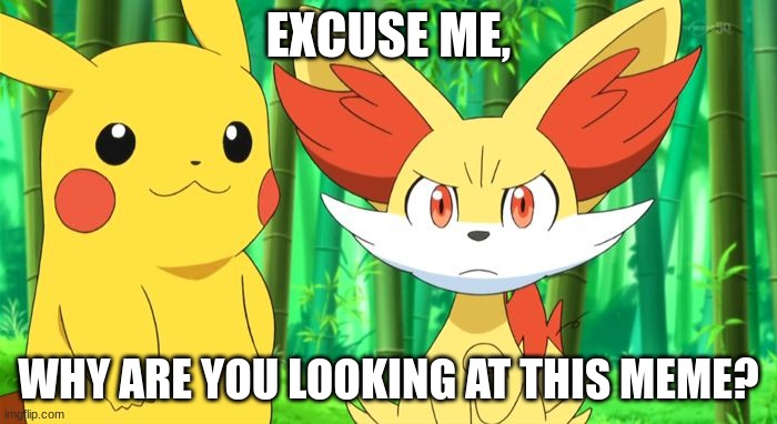 ... | EXCUSE ME, WHY ARE YOU LOOKING AT THIS MEME? | image tagged in fennekin points at x | made w/ Imgflip meme maker