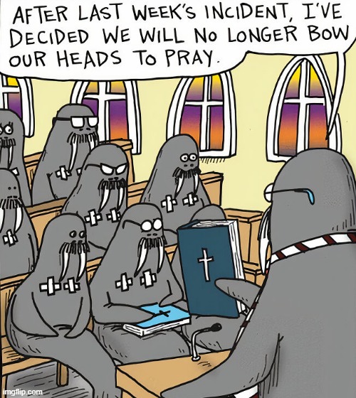 Walrus Religion | image tagged in comics | made w/ Imgflip meme maker