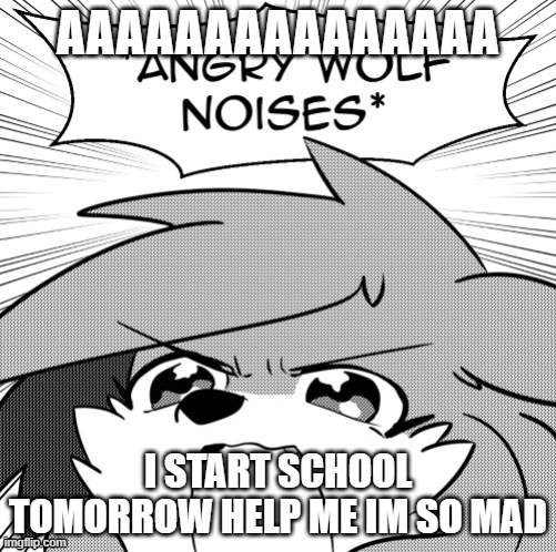 don't expect to see me on that much | AAAAAAAAAAAAAAA; I START SCHOOL TOMORROW HELP ME IM SO MAD | image tagged in angry wolf noises | made w/ Imgflip meme maker
