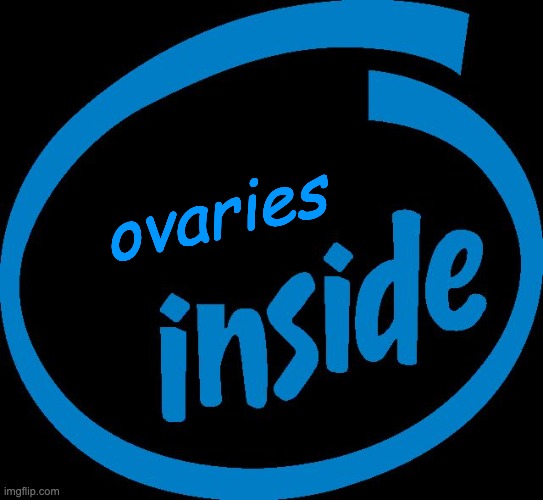 Intel Inside |  ovaries | image tagged in intel inside | made w/ Imgflip meme maker