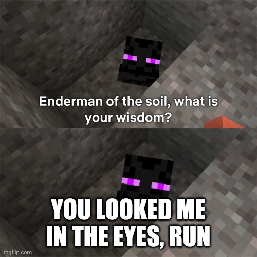 Am I the only one who noticed this | YOU LOOKED ME IN THE EYES, RUN | image tagged in enderman of the soil,enderman,minecraft,run,memes | made w/ Imgflip meme maker