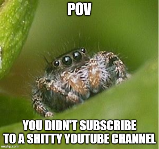Misunderstood Spider | POV; YOU DIDN'T SUBSCRIBE TO A SHITTY YOUTUBE CHANNEL | image tagged in misunderstood spider | made w/ Imgflip meme maker