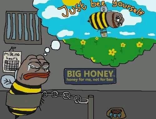 Big honey Blank Meme Template