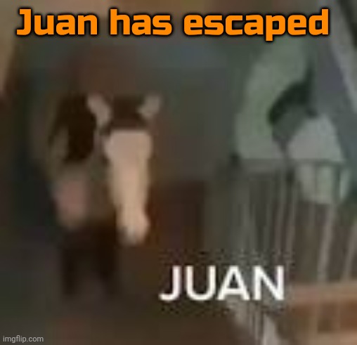 Juan on Staircase | Juan has escaped | image tagged in juan on staircase | made w/ Imgflip meme maker