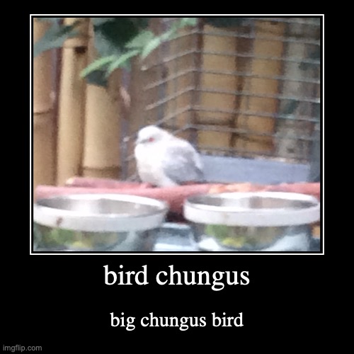 its birb chungus | image tagged in funny,demotivationals,birb | made w/ Imgflip demotivational maker