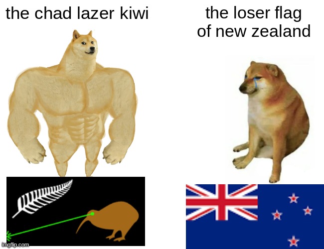 Napoleon Napoleon Napoleon Napoleon Napoleon | the chad lazer kiwi; the loser flag of new zealand | image tagged in memes,buff doge vs cheems | made w/ Imgflip meme maker