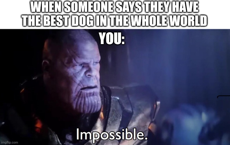Because your dog is the best |  WHEN SOMEONE SAYS THEY HAVE THE BEST DOG IN THE WHOLE WORLD; YOU: | image tagged in thanos impossible,thanos,dogs,pets,funny memes,funny animals | made w/ Imgflip meme maker