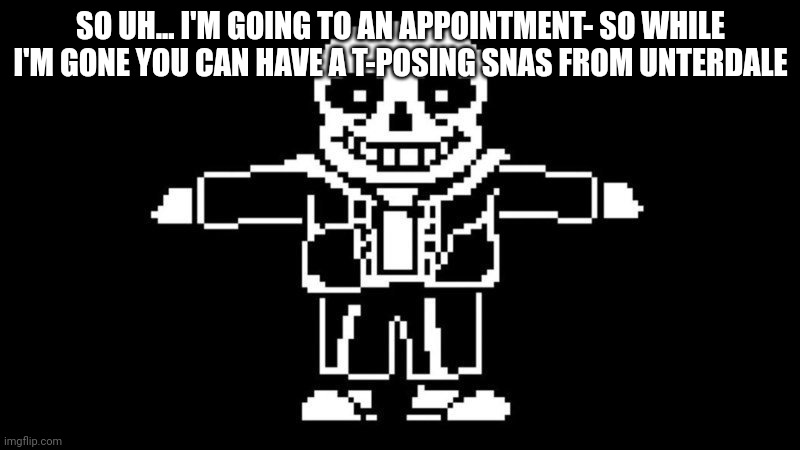 "Good job partner =)" | SO UH... I'M GOING TO AN APPOINTMENT- SO WHILE I'M GONE YOU CAN HAVE A T-POSING SNAS FROM UNTERDALE | image tagged in t pose sans | made w/ Imgflip meme maker