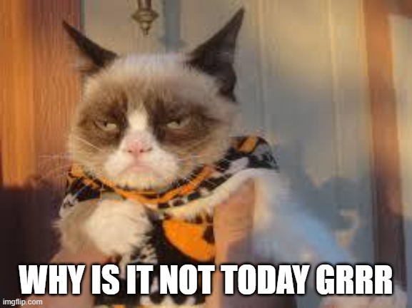 Grumpy Cat Halloween Meme | WHY IS IT NOT TODAY GRRR | image tagged in memes,grumpy cat halloween,grumpy cat | made w/ Imgflip meme maker