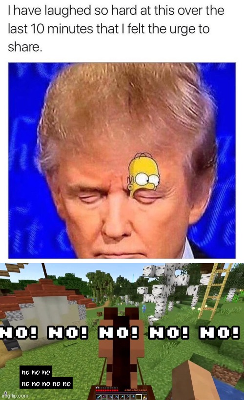Why exist though | image tagged in no no no no no no no no no noo | made w/ Imgflip meme maker