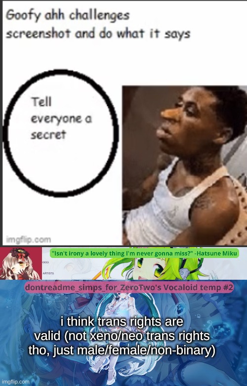 i think trans rights are valid (not xeno/neo trans rights tho, just male/female/non-binary) | image tagged in drm's vocaloid temp 2 | made w/ Imgflip meme maker