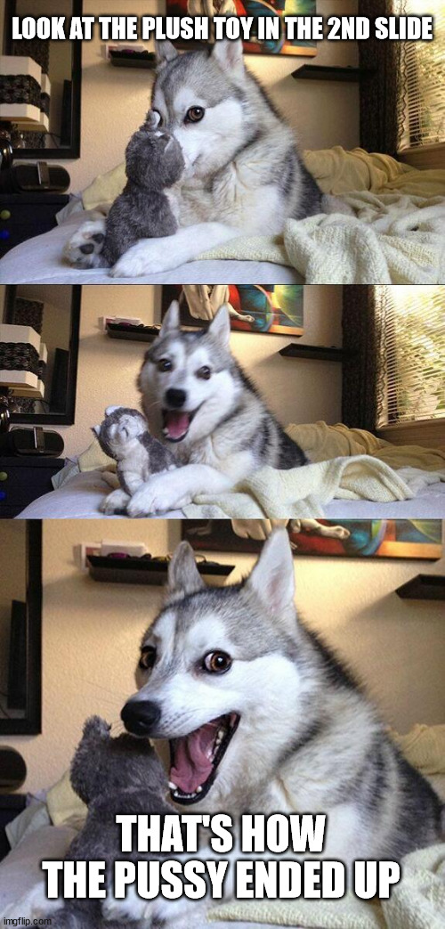 Horn Dog | LOOK AT THE PLUSH TOY IN THE 2ND SLIDE; THAT'S HOW THE PUSSY ENDED UP | image tagged in memes,bad pun dog | made w/ Imgflip meme maker