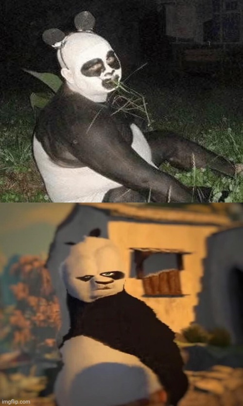 Cursed panda | image tagged in drunk kung fu panda,cursed image,panda,cursed,memes,pandas | made w/ Imgflip meme maker