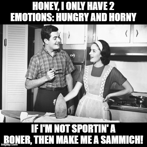 Signs | HONEY, I ONLY HAVE 2 EMOTIONS: HUNGRY AND HORNY; IF I'M NOT SPORTIN' A BONER, THEN MAKE ME A SAMMICH! | image tagged in vintage husband and wife | made w/ Imgflip meme maker