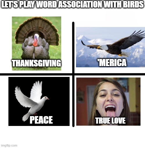 Swallows | LET'S PLAY WORD ASSOCIATION WITH BIRDS; 'MERICA; THANKSGIVING; TRUE LOVE; PEACE | image tagged in memes,blank starter pack | made w/ Imgflip meme maker