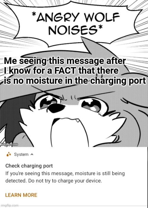 Me seeing this message after I know for a FACT that there is no moisture in the charging port | image tagged in angry wolf noises | made w/ Imgflip meme maker