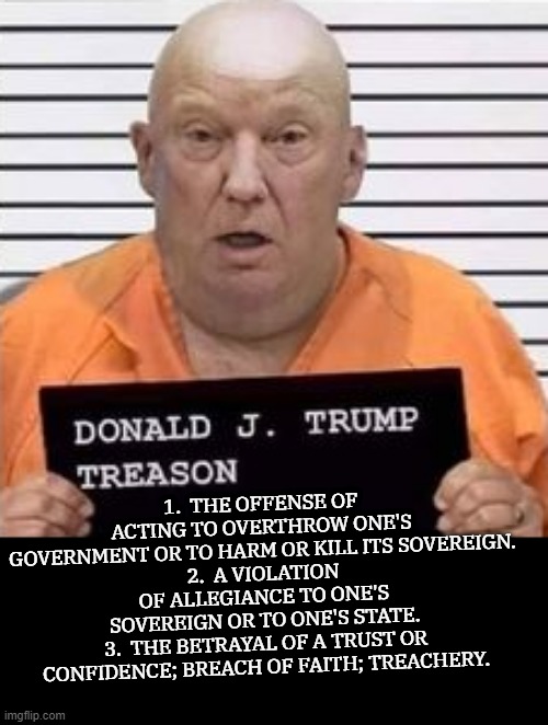 TREASON | 1.  THE OFFENSE OF ACTING TO OVERTHROW ONE'S GOVERNMENT OR TO HARM OR KILL ITS SOVEREIGN.
2.  A VIOLATION OF ALLEGIANCE TO ONE'S SOVEREIGN OR TO ONE'S STATE.
3.  THE BETRAYAL OF A TRUST OR CONFIDENCE; BREACH OF FAITH; TREACHERY. | image tagged in treason,overthrow,treachery,betray,sedition,disloyal | made w/ Imgflip meme maker