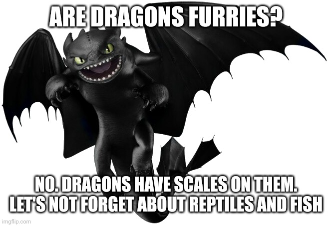 major difference 2 | ARE DRAGONS FURRIES? NO. DRAGONS HAVE SCALES ON THEM. LET'S NOT FORGET ABOUT REPTILES AND FISH | image tagged in night fury 4 httyd | made w/ Imgflip meme maker