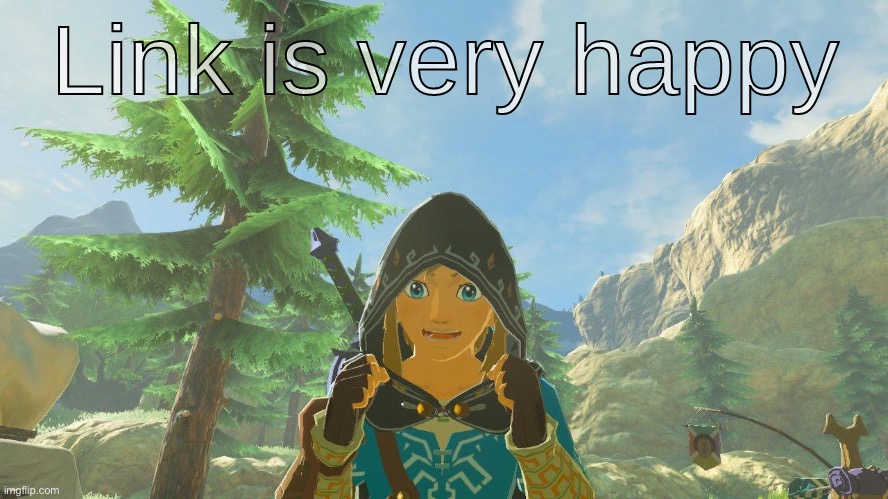 Link is very HAppY | image tagged in link is very happy | made w/ Imgflip meme maker