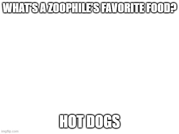 i am so sorry guys | WHAT'S A ZOOPHILE'S FAVORITE FOOD? HOT DOGS | image tagged in blank white template | made w/ Imgflip meme maker