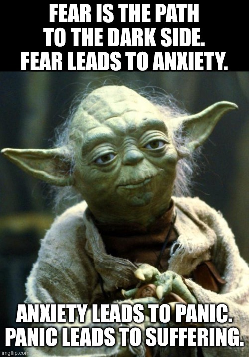 Yoda mental health wisdom |  FEAR IS THE PATH TO THE DARK SIDE. FEAR LEADS TO ANXIETY. ANXIETY LEADS TO PANIC. PANIC LEADS TO SUFFERING. | image tagged in star wars yoda,mental health,anxiety,panic attack,feel the fear | made w/ Imgflip meme maker