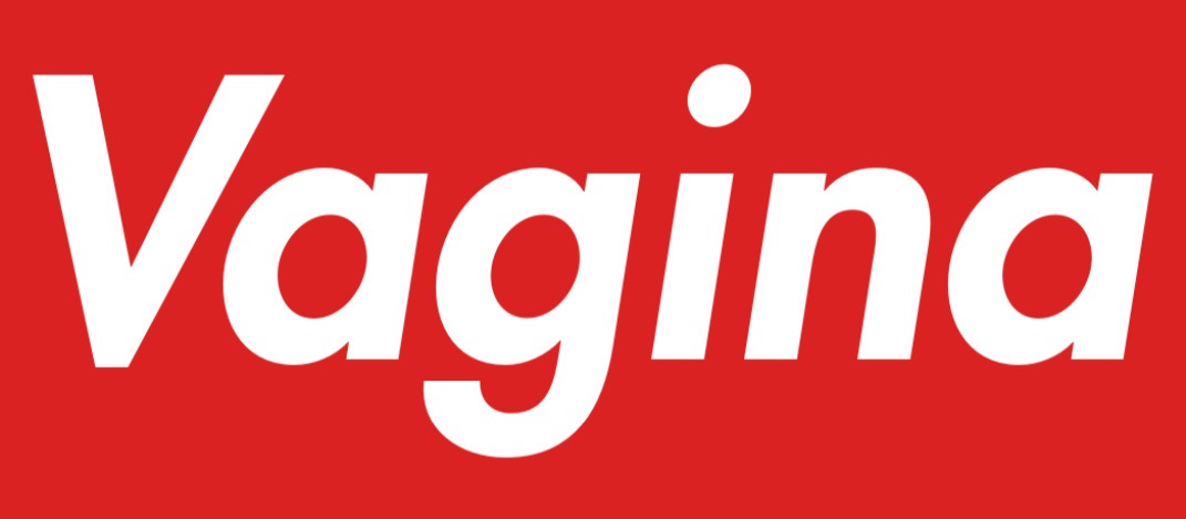 Vagina Blank Meme Template