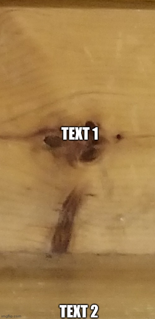 173 in the stair | TEXT 1; TEXT 2 | image tagged in scp 173 in the stair | made w/ Imgflip meme maker