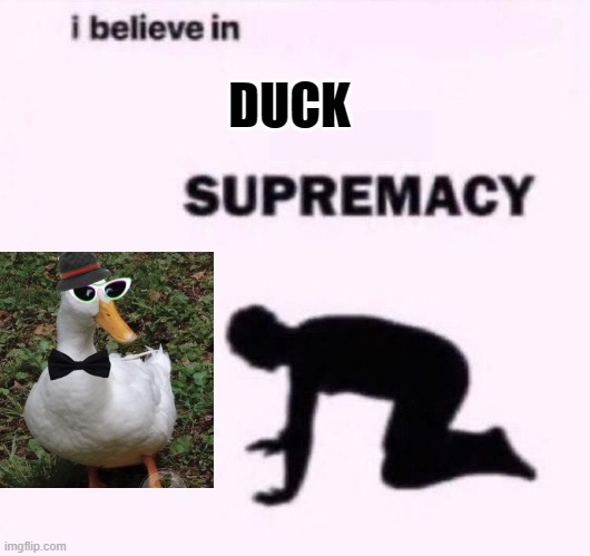 I belive in duck supremacy | DUCK | image tagged in i belive in supermacy,duck | made w/ Imgflip meme maker