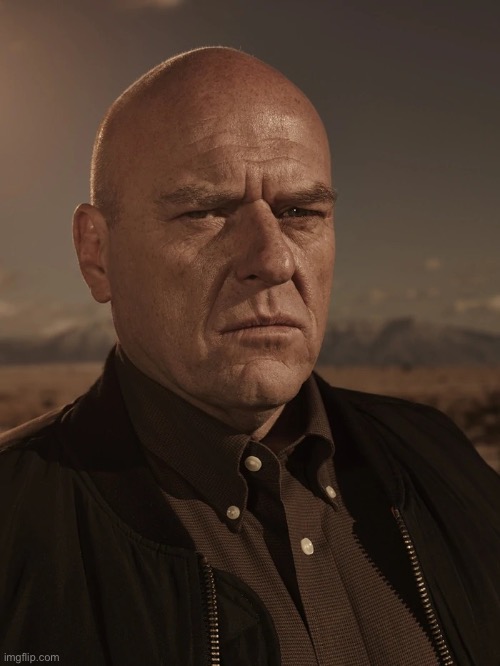 Hank Schrader | image tagged in hank schrader | made w/ Imgflip meme maker